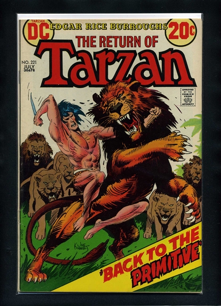 Tarzan #221 FN 1973 DC Comic Book